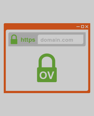 Organization Validated SSL services